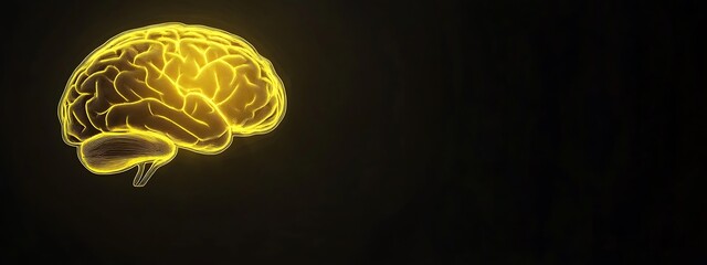 Poster - Glowing Yellow Outline of a Human Brain on Black Background