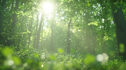 Wall Mural - Sunbeams through Lush Green Forest Leaves with Bokeh Effect