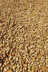 Close up of coffee beans for background          