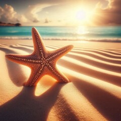 Starfish Resting on Warm Tropical Beach Sand