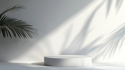 Leinwandbilder - Empty gray cylinder stage podium with palm leaf shadow abstract geometric cosmetic showcase pedestal against a grey background Minimalist modern scene 3D rendered illustration
