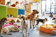 © Alex89 - Pet Daycare Center. Dog hotel banner, flayer