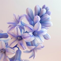 Poster - Delicate blue and white flowers with soft petals.