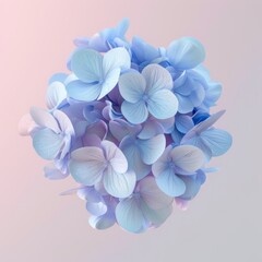 Poster - Delicate blue hydrangea flower cluster on a soft pink background.