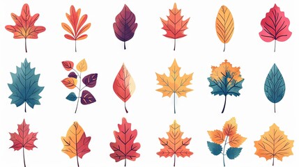 Wall Mural - A collection of various fallen leaves in vibrant autumn colors, featuring maple leaves. Ideal for fall-themed decorations, seasonal holiday designs, or Thanksgiving greeting cards