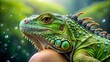 © DigitalArt Max - vibrant intimate morning portrait of sleepy green iguana pet wrapped around owner's arm with dew drops on scales and misty atmosphere