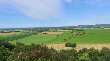 Poster - Rural landscape view in a cultivated land in the summer