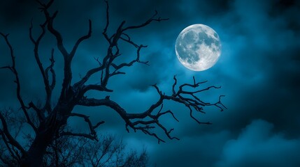 Wall Mural - a full moon shining through the branches of a dead tree
