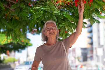 Canvas Print - Smiling older woman wearing eyeglasses walking inn a city street stops under a tree to touch the red flowers