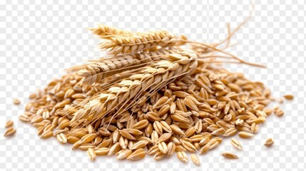 Heap of Spelt wheat isolate on transparency background PNG