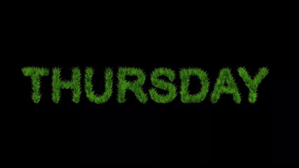 Wall Mural - Beautiful illustration of Thursday text with green grass effect on plain black background