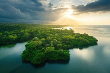 Wall Mural - Aerial perspective of a tropical island with lush jungle.