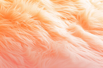 soft peach fur texture background.


