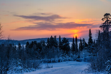 winter sunset in the forest