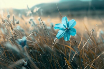 Sticker - A blue flower sits atop a dry grass field, The calming presence of a solitary blue flower in a meadow