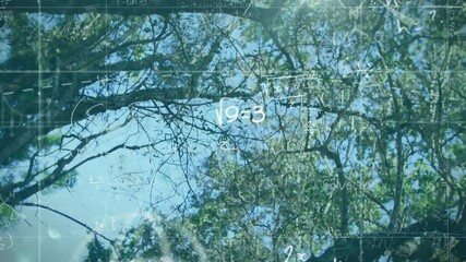 Poster - Mathematical equations and formulas animation over tree branches and blue sky