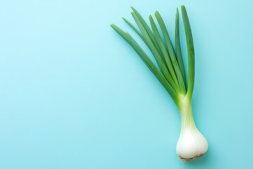 Wall Mural - A fresh green onion with long green tops on a light blue background.