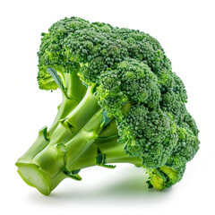 Fresh broccoli isolated on white