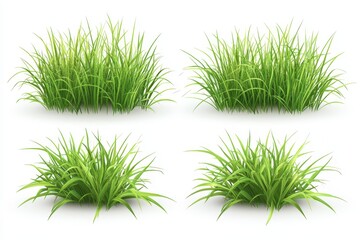 Four clusters of realistic green grass, showcasing different styles and textures.