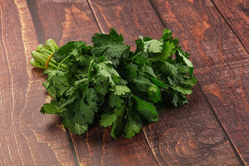 Fresh green cilantro branches heap