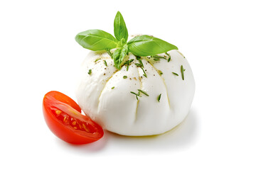 Wall Mural - Fresh piece burrata cheese with basil close up isolated on white background