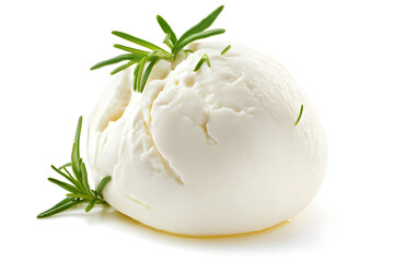 Wall Mural - Fresh piece burrata cheese with basil close up isolated on white background