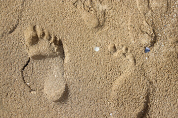 footprint in sand