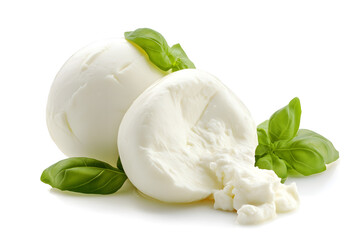 Canvas Print - Fresh  burrata cheese with basil close up isolated on white background