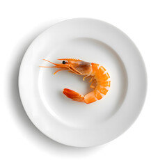 Wall Mural - One small shrimp prawn on white plate top view isolated on white background