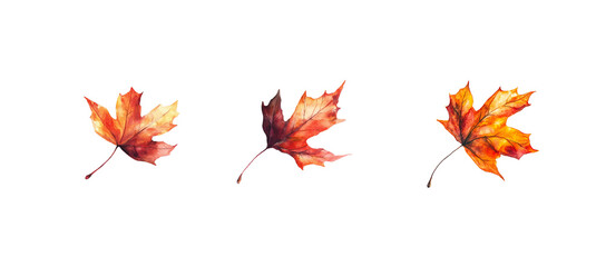 Wall Mural - A single autumn leaf floating in the air, isolated on a white background