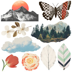 Wall Mural - png nature collage element set, transparent background