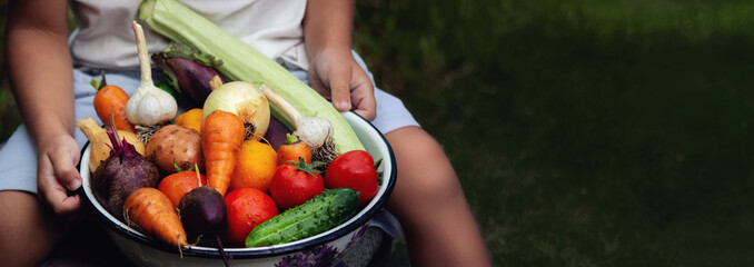 Wall Mural - the boy holds a bowl of vegetables, harvest from the garden. harvest.