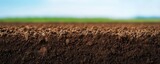 Close-up of rich, fertile soil with blurred green field and blue sky background, ideal for agriculture and gardening themes.