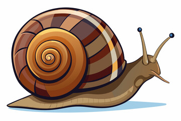 Wall Mural - Snail vector color illustration