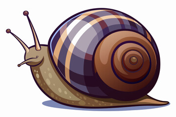 Wall Mural - Snail vector color illustration