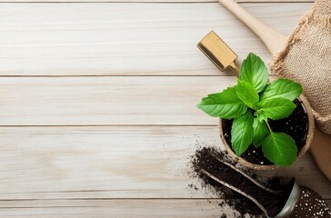 Poster - Gardening Supplies on Wooden Background