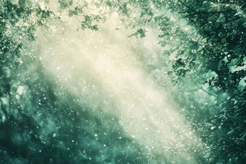 Poster - Light Filtering Through Snow-Covered Forest Branches