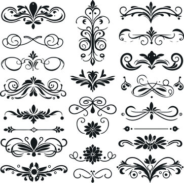 Hand drawn Ornamental Floral Dividers And Decorative Separators On Solid White Background
