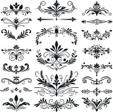 Hand drawn Ornamental Floral Dividers And Decorative Separators On Solid White Background