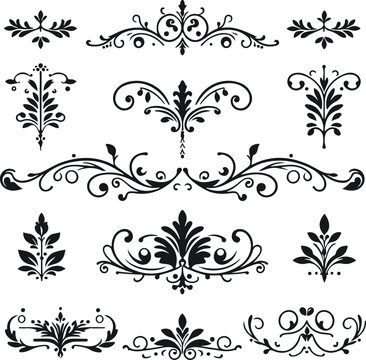 Hand drawn Ornamental Floral Dividers And Decorative Separators On Solid White Background