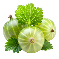 Delicious Gooseberry isolated on transparent background