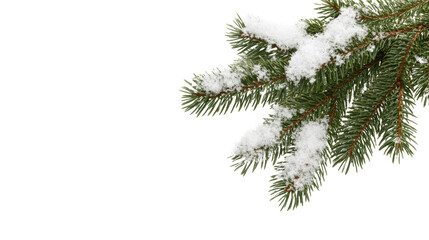 Snow-covered pine branch depicting winter beauty and holiday spirit, perfect for seasonal designs and festive themes.