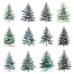 Wall Mural - PNG watercolor Christmas tree design element set, transparent background