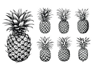 Wall Mural - Pineapple clipart design illustration