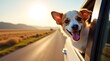 © SkyRebeL - Joyful small dog with white and brown coat, head out of car window, capturing the excitement of a sunny road trip