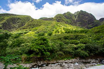 Wall Mural - Iao valley state park in Maui, Hawaii in summer 2024