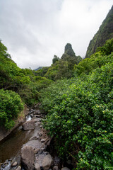 Wall Mural - Iao valley state park in Maui, Hawaii in summer 2024