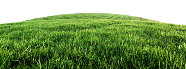 Sticker - PNG Serene green grass field landscape