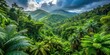 © InspireStock Gallery - Lush tropical rainforest in El Yunque National Forest Puerto Rico, rainforest, El Yunque, Puerto Rico, tropical, nature, green
