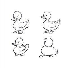 Poster - Four cartoon duck sketches showcasing different poses and expressions.